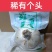 鲜百合甘肃精品百合货源充足价格实惠欢迎联系