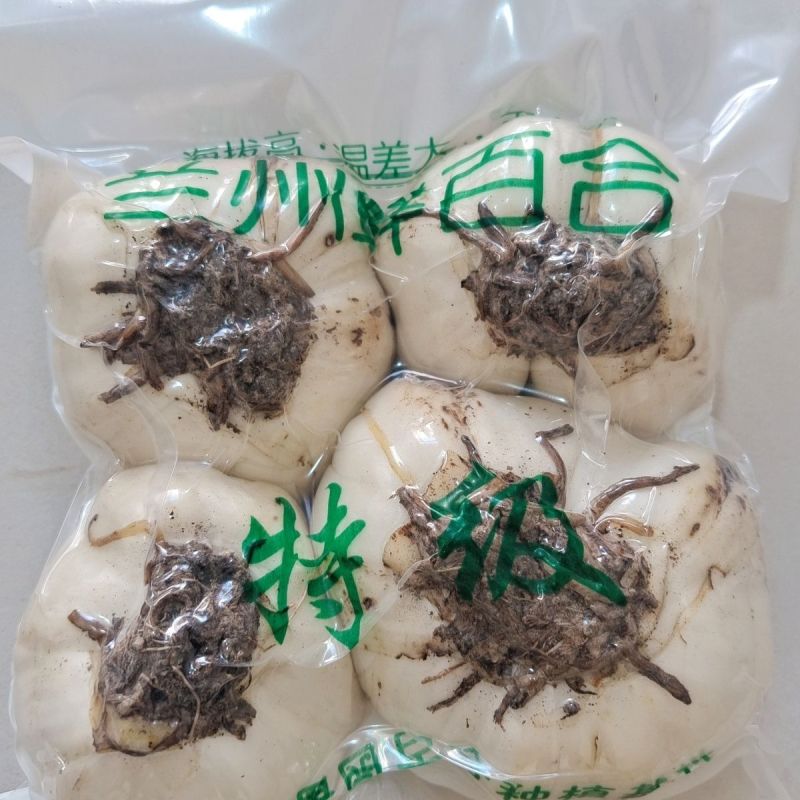 甘肃百合鲜百合规划齐全产地直供量大从优全国发货