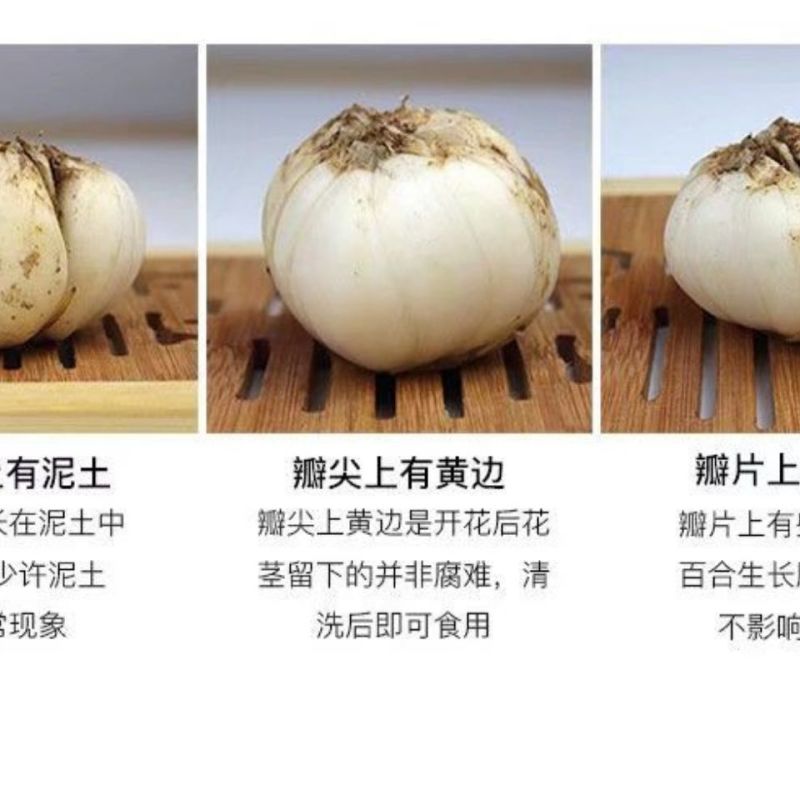 甘肃百合鲜百合规划齐全产地直供量大从优全国发货