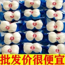 甘肃百合鲜百合规划齐全产地直供量大从优全国发货