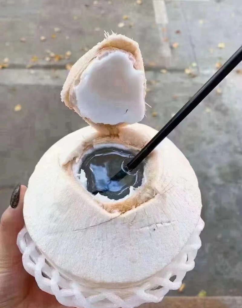 海南青椰老椰产地直发