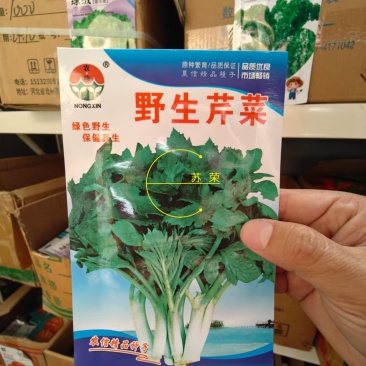 野生水芹菜种子山芹种子籽种东北农家小芹蔬菜秋季菜籽菜种孑