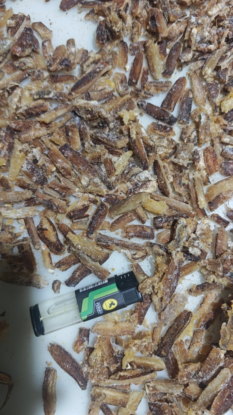 蟹肉蟹黄厂家欢迎合作价格优惠