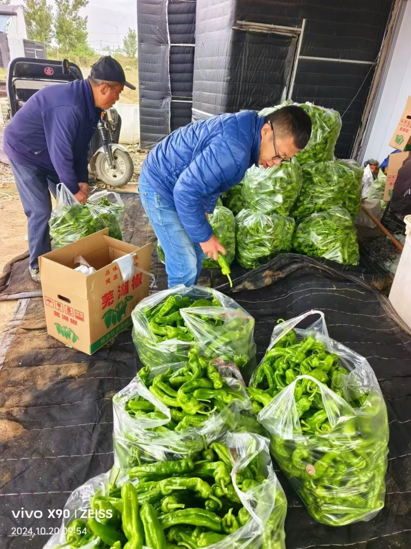 鲜辣椒