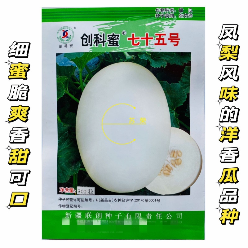 创科蜜七十五号甜瓜种子脆梨风味白皮白瓤高甜香瓜种籽易座
