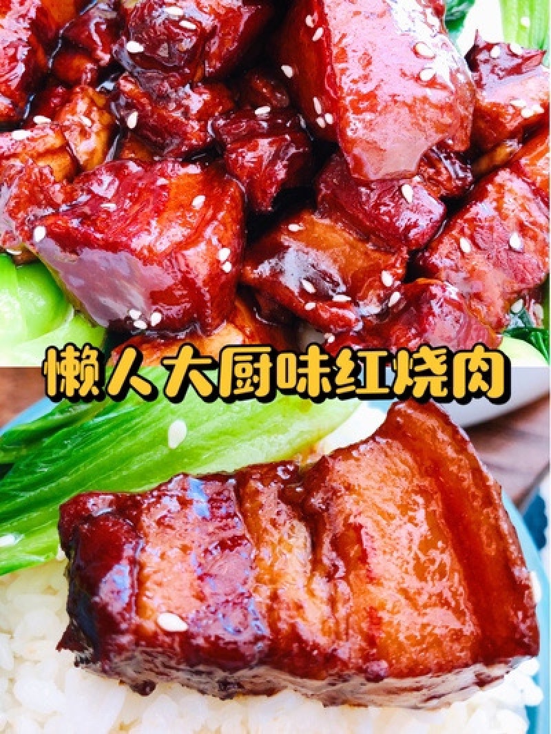 到手2袋20包赠甄味说卤肉料包再送两袋闷酱汁