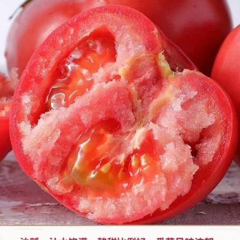 口感大粉番茄种子沙瓤粉果西红柿苗口感佳四季大果爱丽莎