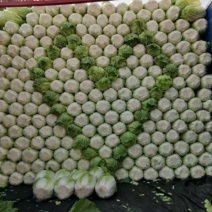 玲珑黄白菜