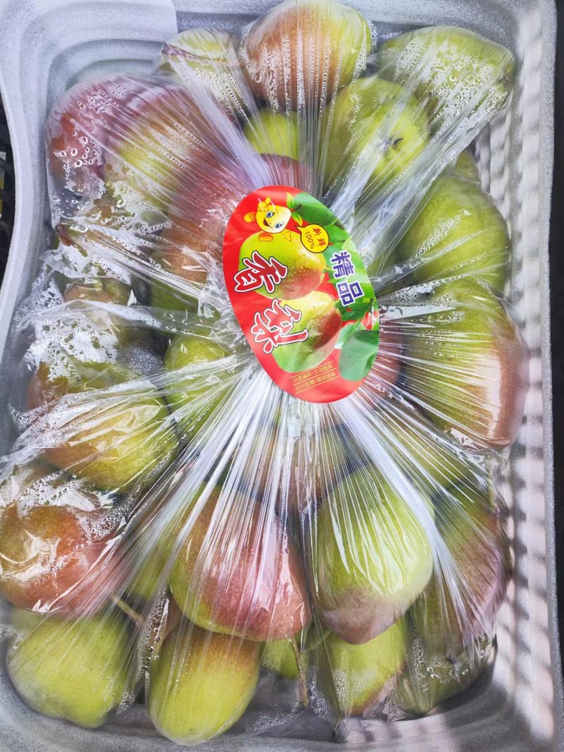 红香酥梨冷库货有需要的联系我！大量现货！货源充足