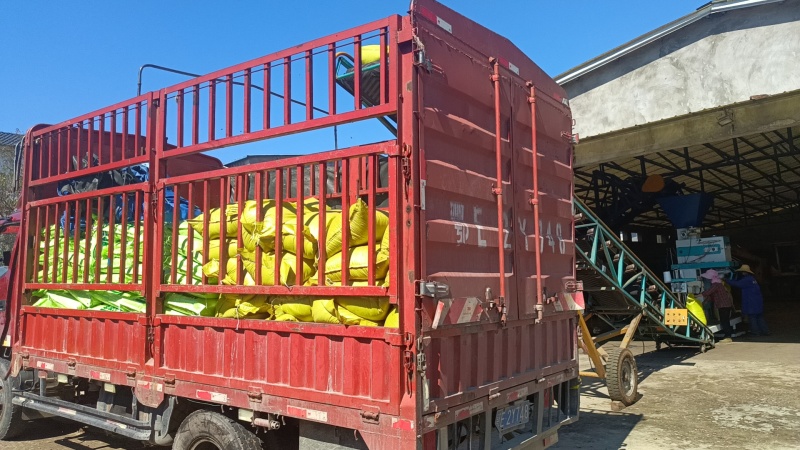 鸡粪发酵有机肥不烧根不伤苗常年为苗圃育苗基地发货