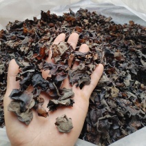 木耳黑云耳野生正品产地一手货源量大从优