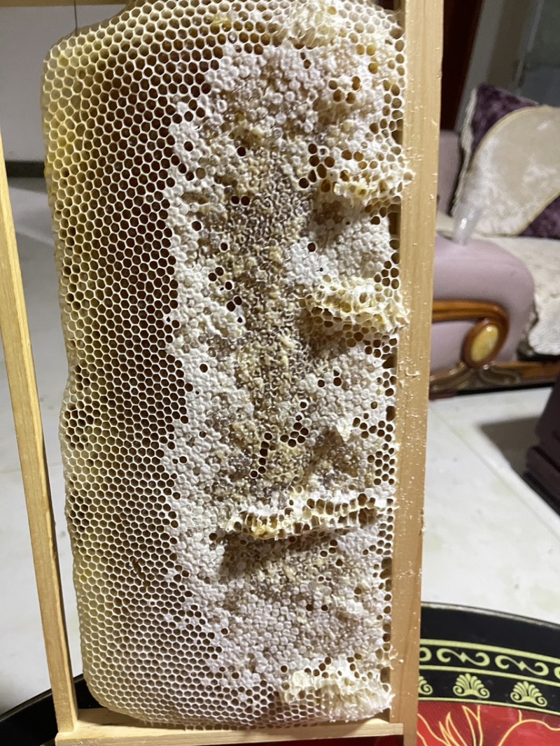 甘肃省定西市岷县野生土蜂蜜保质保量现货