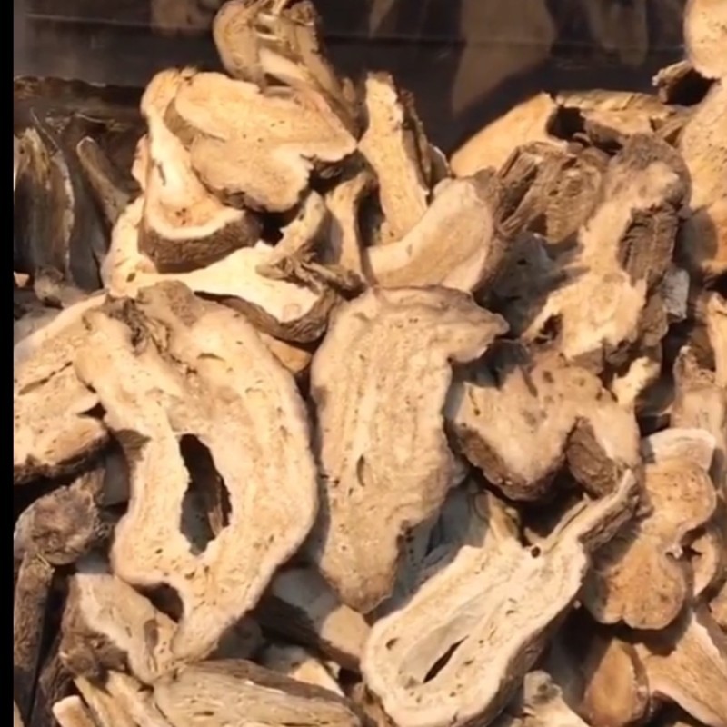 白术