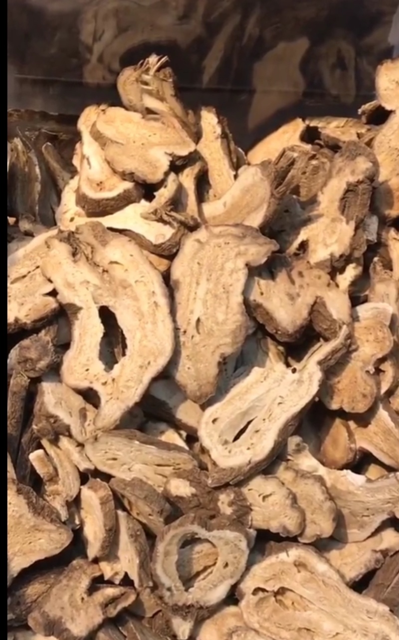 白术