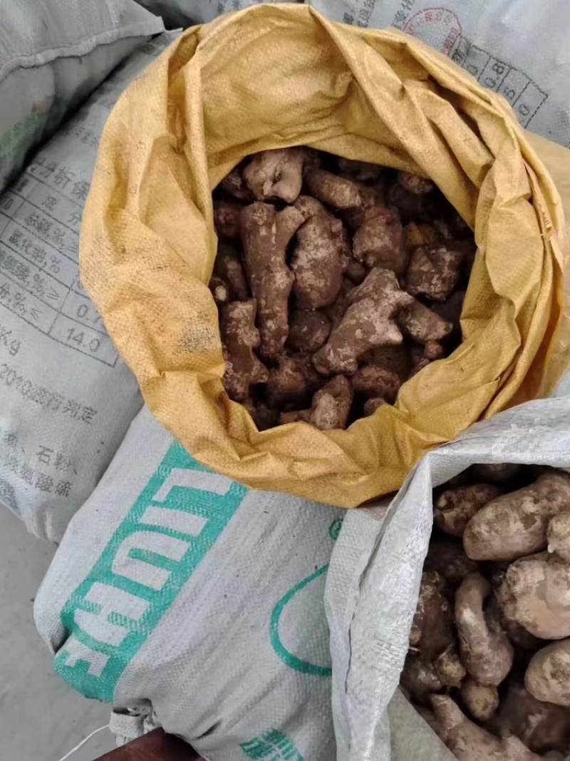 山东生姜产地小黄姜姜母嫰姜批发批发电商价格优惠品质好