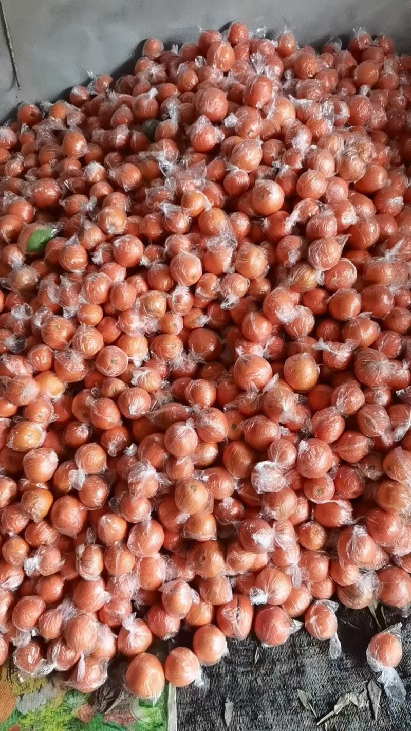 精品脐橙货源充皮薄多汁诚信经营量大从优质量保证欢迎咨询