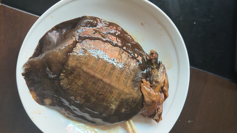 【麻辣甲鱼】麻辣卤甲鱼（整只装）