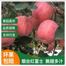 山东烟台栖霞红富士条纹苹果脆甜多汁产地直发代收代发