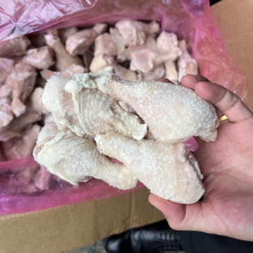 大日期存货琵琶腿，机不可失，失不再来，个人存货