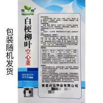 大量供应泰国进口空心菜种芽苗菜空心菜土栽空心菜种
