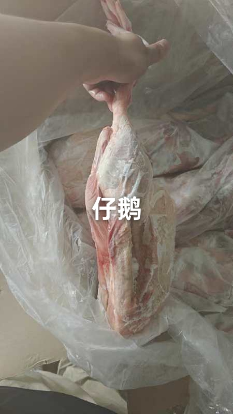 心肝仔鹅，厂家发货，全国冷链物流，资质齐全