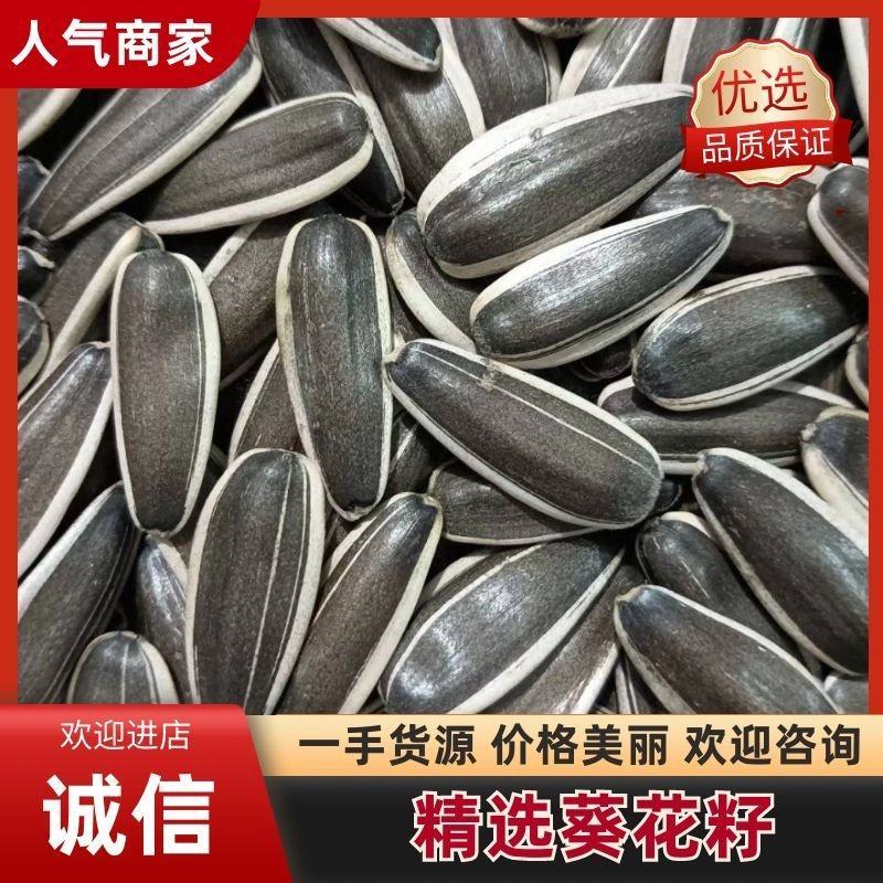 吉林精选葵花籽363、377等大量供应，产地一手货源