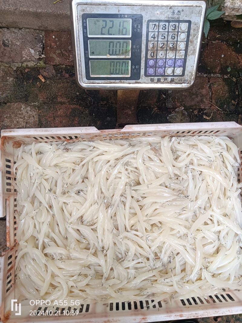 10月20号实测