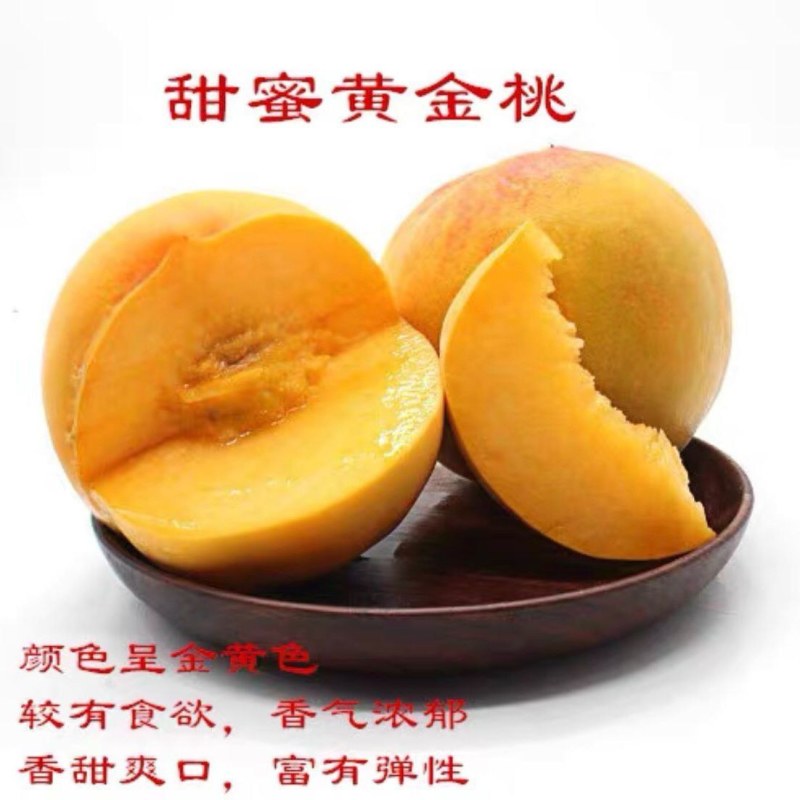七月红水蜜桃树苗嫁接桃树苗脆甜桃子树苗南方北方种植包邮价