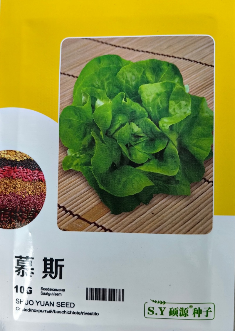 慕斯奶油生菜种子硕源耐热耐寒翠绿四季奶油生菜大田蔬菜种子