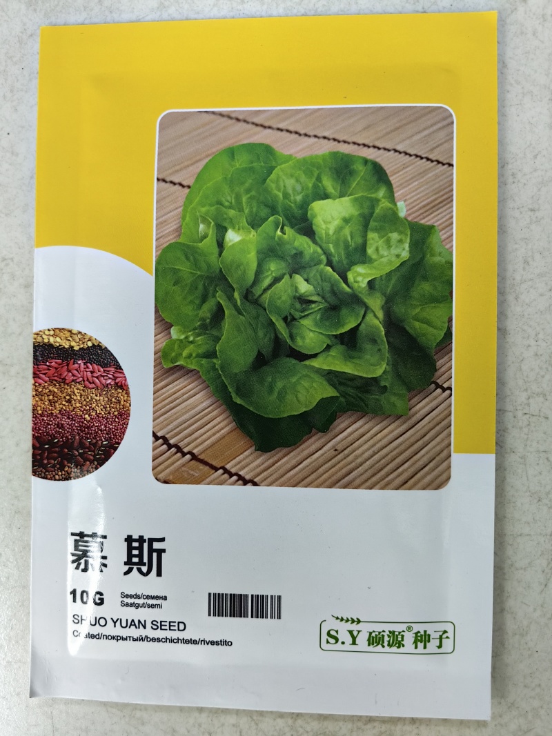 慕斯奶油生菜种子硕源耐热耐寒翠绿四季奶油生菜大田蔬菜种子