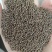 沙苑子，正宗野生干净无杂质，药用茶用包邮【丹丹中药】