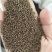 沙苑子，正宗野生干净无杂质，药用茶用包邮【丹丹中药】