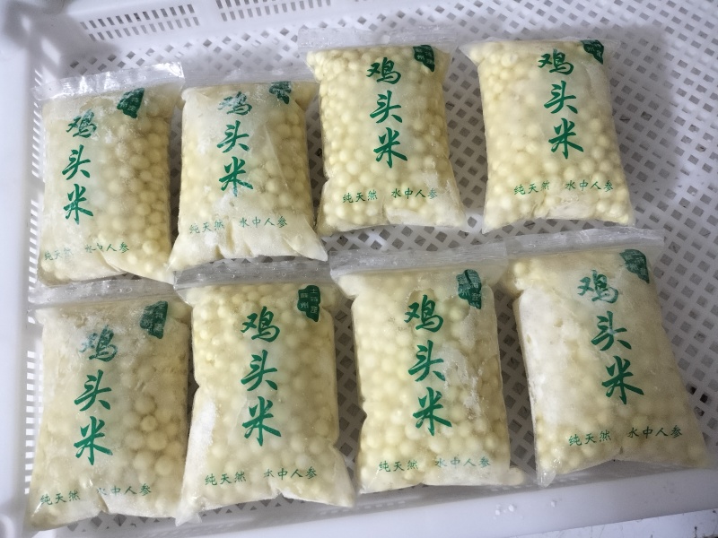 苏州芡实鸡头米
