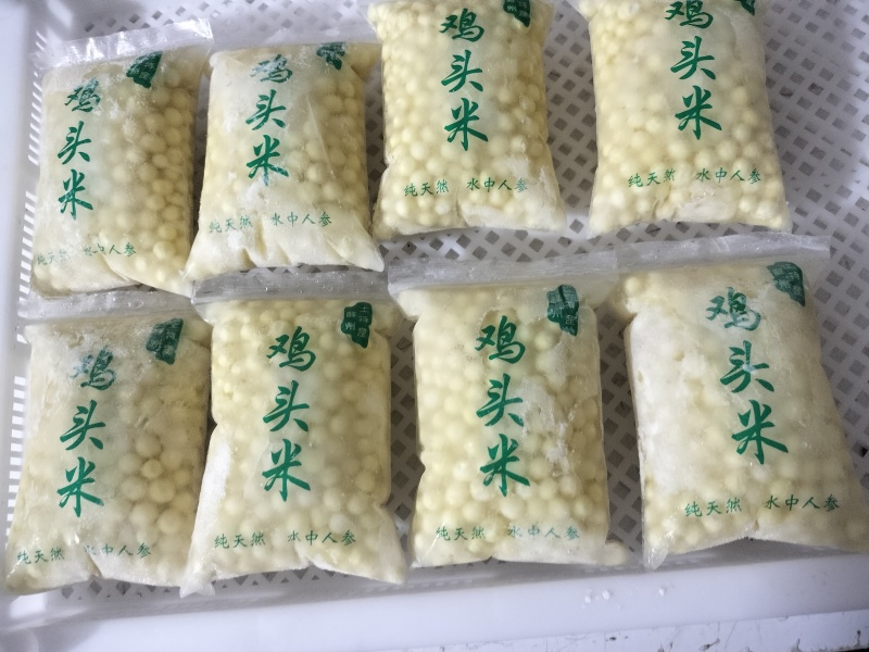 苏州芡实鸡头米