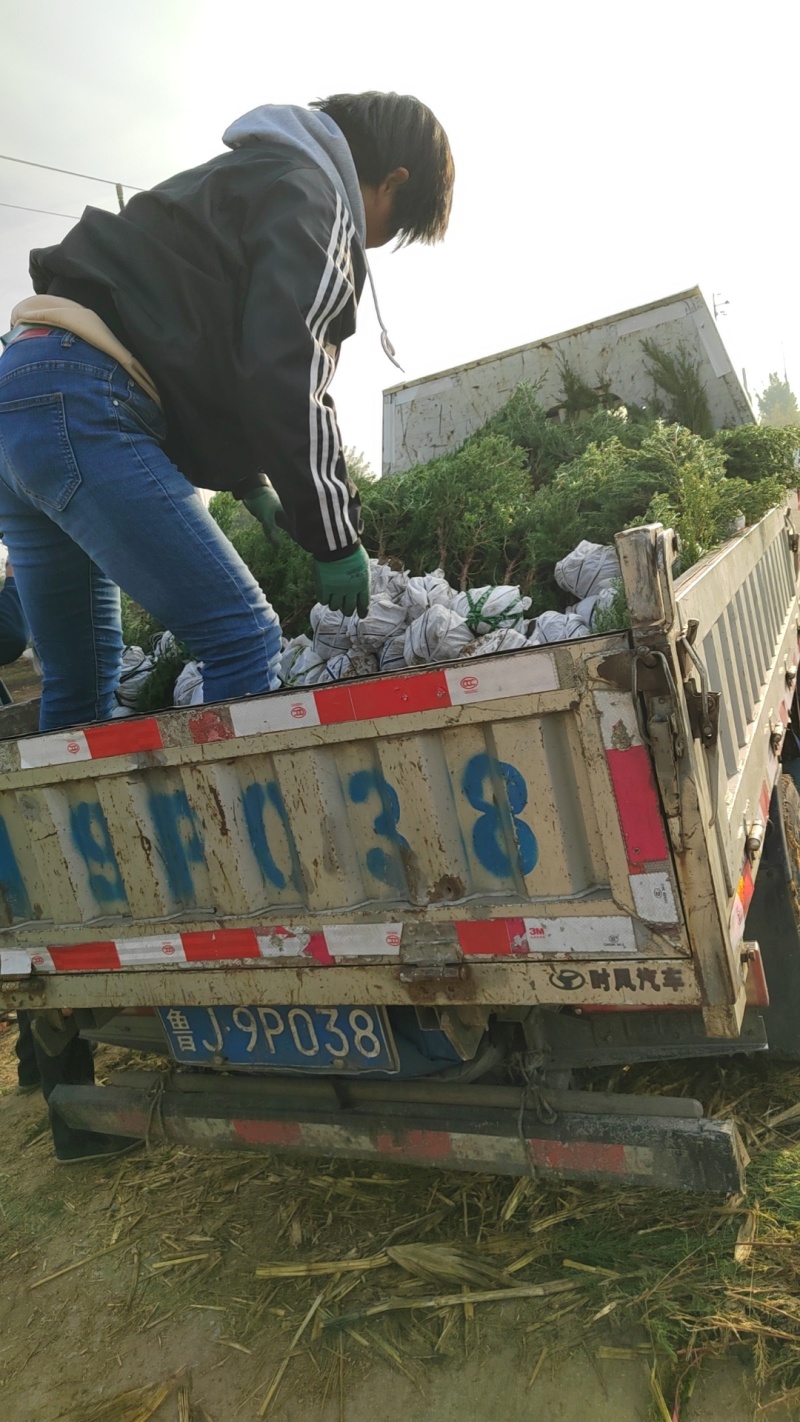 蜀侩规格1米1.5米2米蜀侩，视频看货