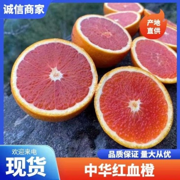 中华红血橙大量上市，质优价美，服务完善，走货便利欢迎咨询
