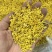 精品微波无硫干桂花