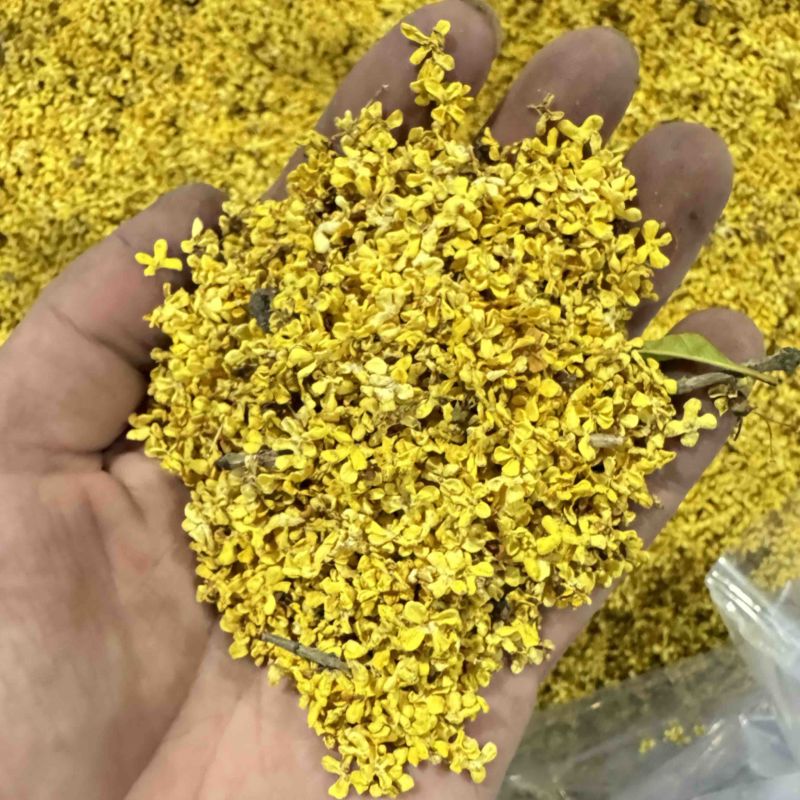 精品微波无硫干桂花