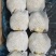 【推荐】河北花菜一手货源供应市场商超电商量大价优