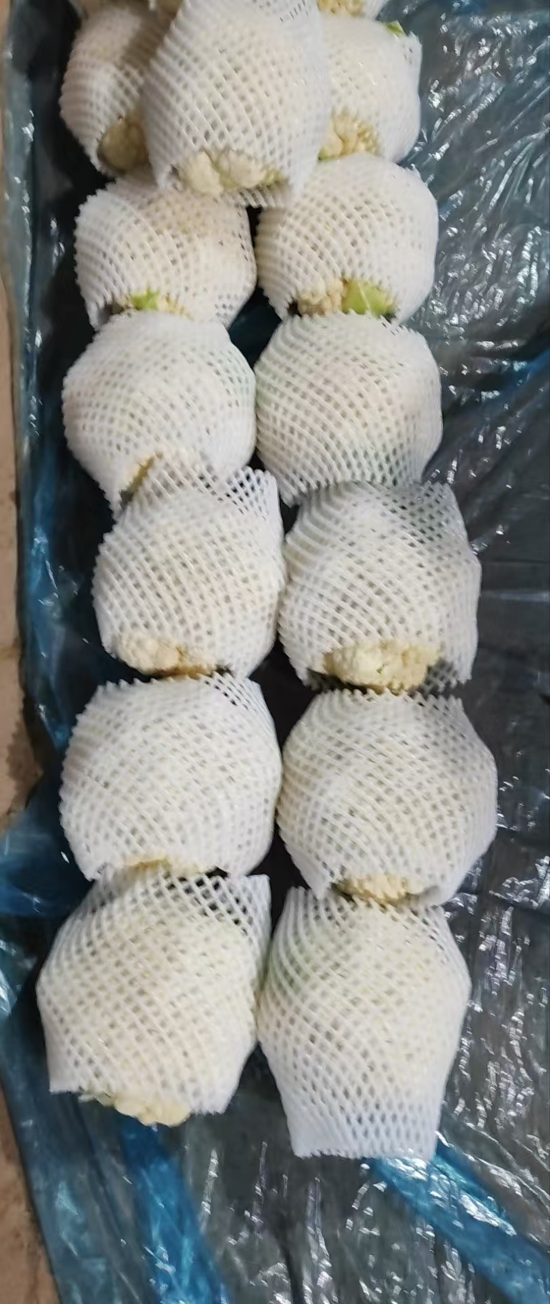 【推荐】河北花菜一手货源供应市场商超电商量大价优