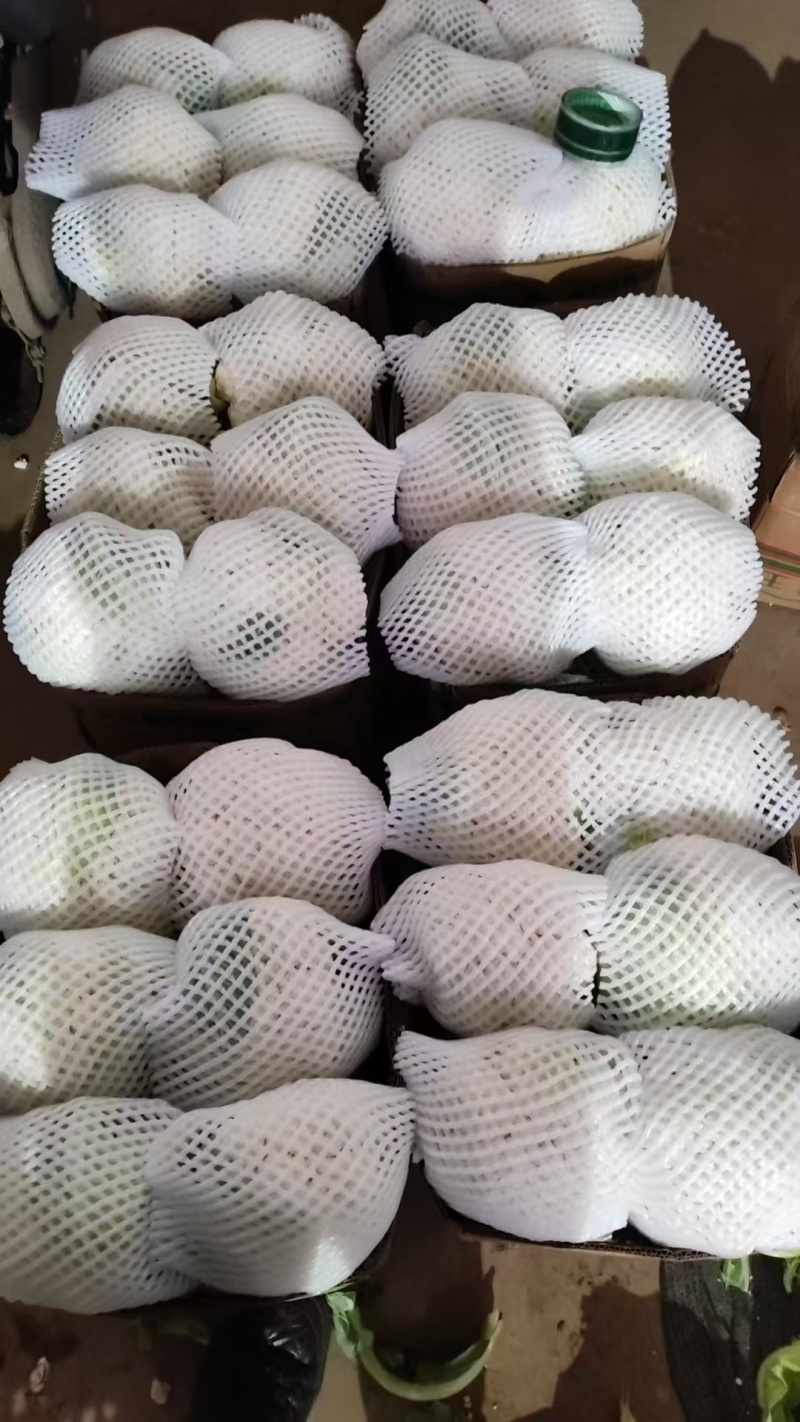 【推荐】河北花菜一手货源供应市场商超电商量大价优