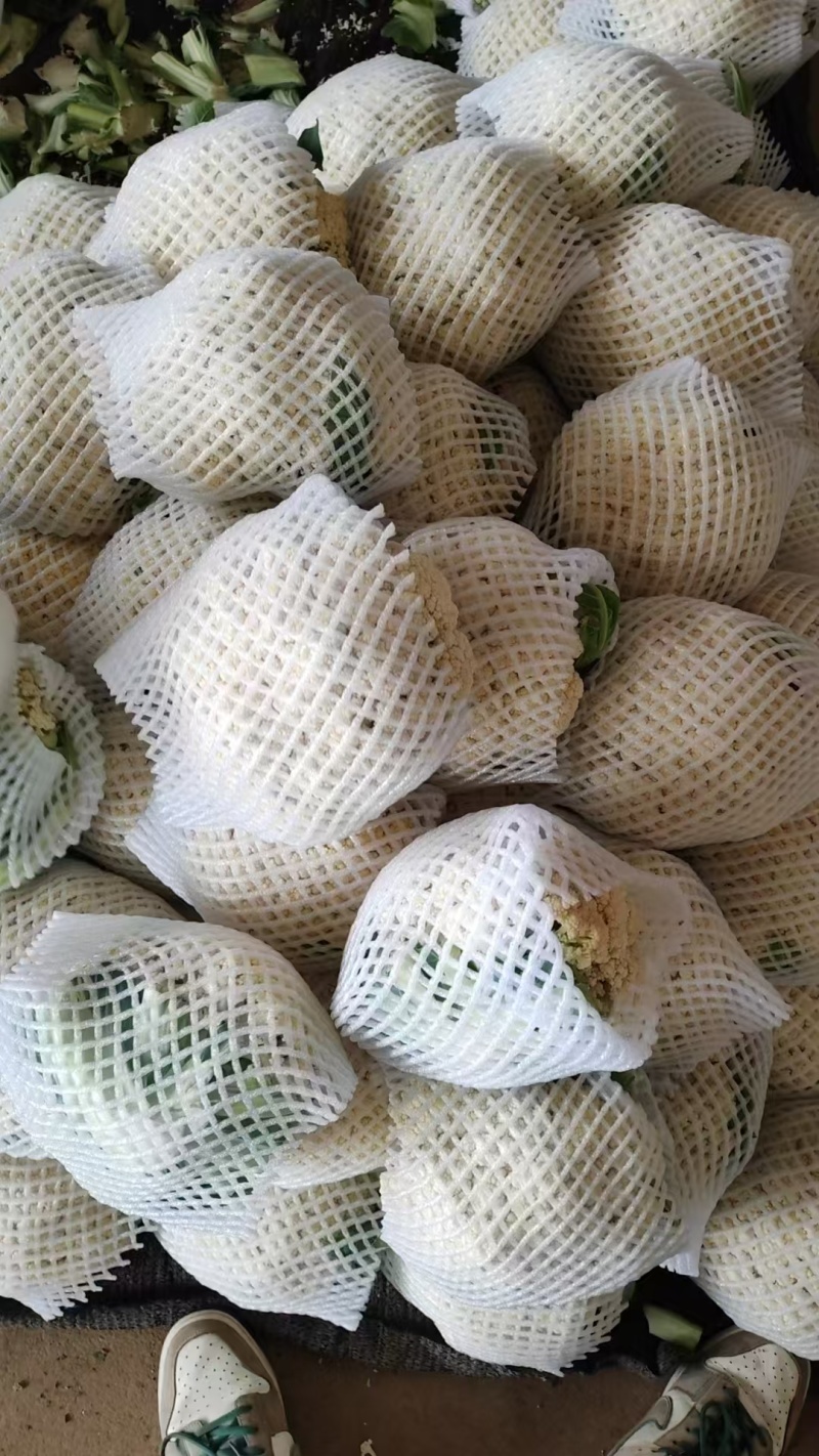 【推荐】河北花菜一手货源供应市场商超电商量大价优