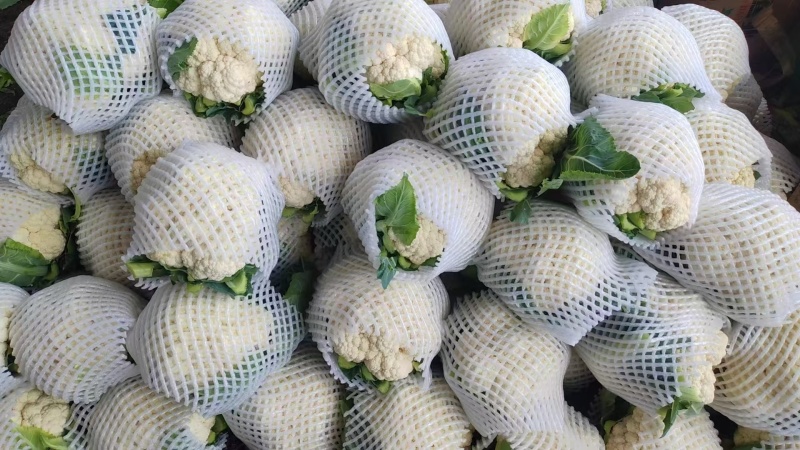 【推荐】河北花菜一手货源供应市场商超电商量大价优