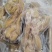 【热销】牛副产品去骨带筋熟牛蹄品质保证一件起批