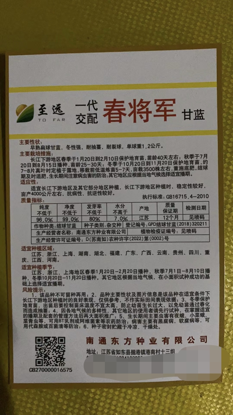 春将军甘蓝种早熟冬性强耐抽苔裂球口感好亩产4000公斤抗