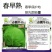 春棚早45甘蓝种子极早熟耐抽苔绿球松软春秋包菜高产甘蓝种