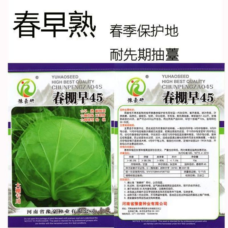 春棚早45甘蓝种子极早熟耐抽苔绿球松软春秋包菜高产甘蓝种