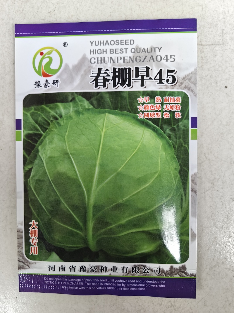 春棚早45甘蓝种子极早熟耐抽苔绿球松软春秋包菜高产甘蓝种