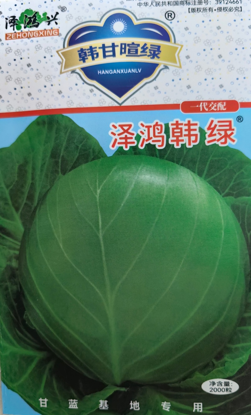 泽鸿韩绿甘蓝种子黄心松软暄菜水果型春秋早熟球形甘蓝包菜种