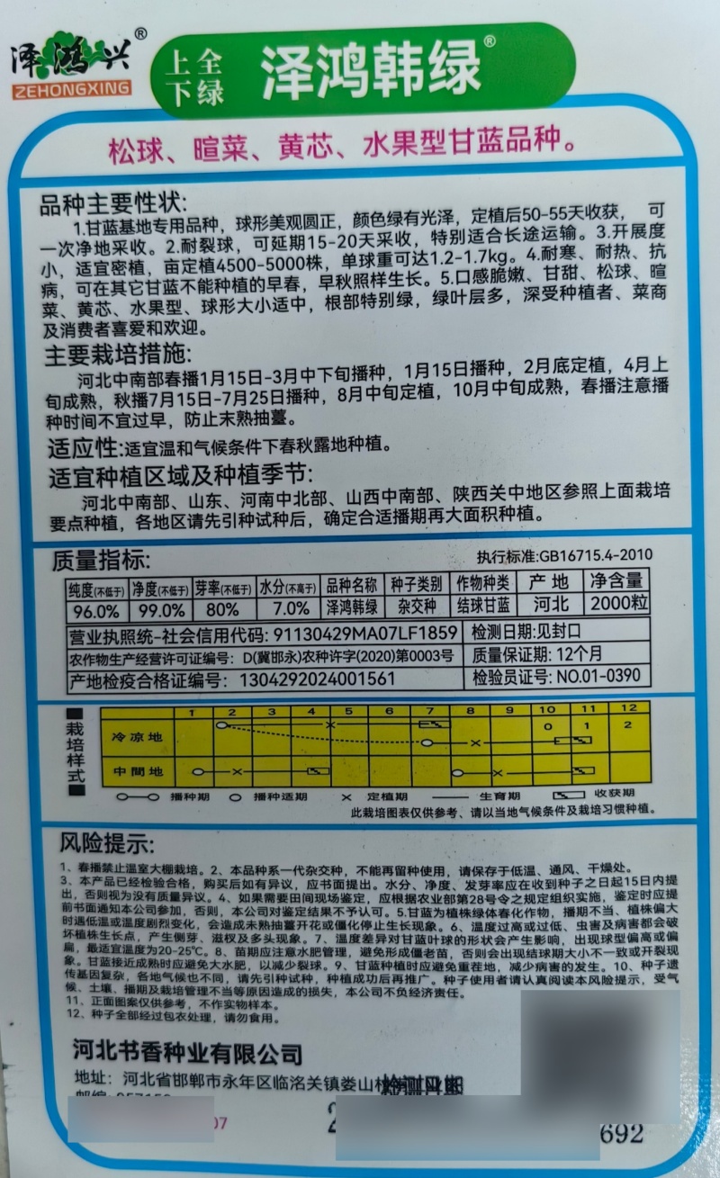 泽鸿韩绿甘蓝种子黄心松软暄菜水果型春秋早熟球形甘蓝包菜种